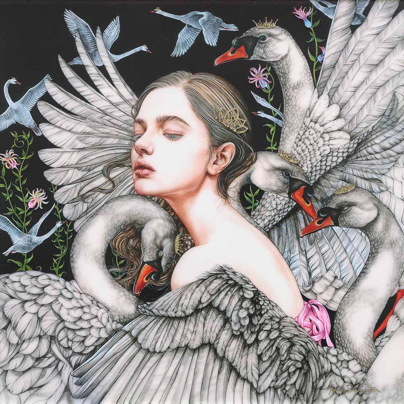 2024 - The Wild Swans - Edition